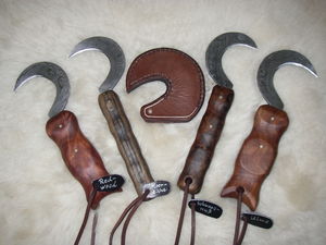 neu msg 017